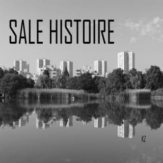 Sale Histoire