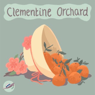 Clementine Orchard