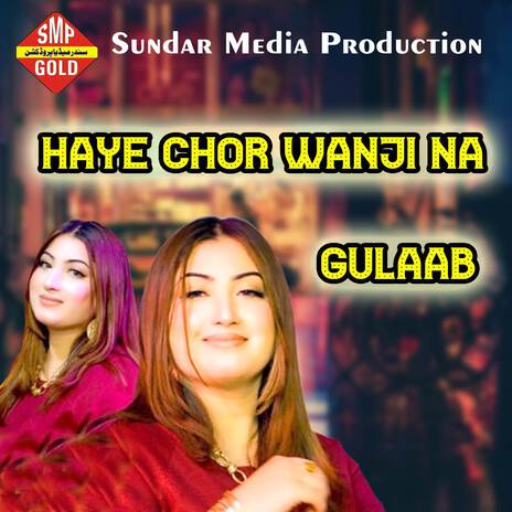 Haye Chor Wanji Na | Boomplay Music