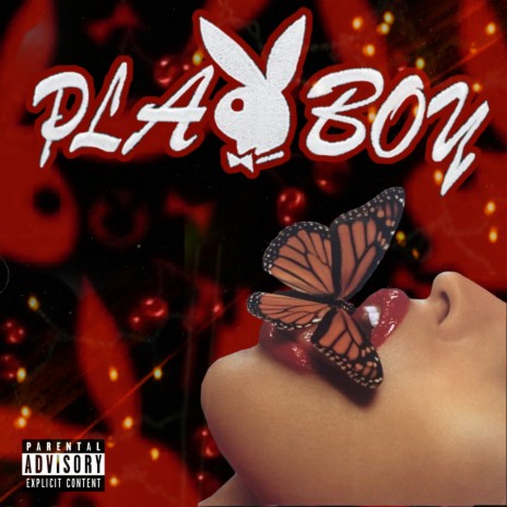 Playboy ft. Svnity!