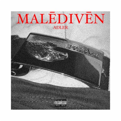 MALEDIVEN | Boomplay Music