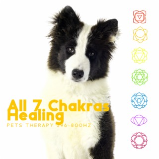 All 7 Chakras Healing: Pets Therapy 396-800Hz, Reiki for Dog's, Full Body Aura Cleanse & Boost Positive Energy