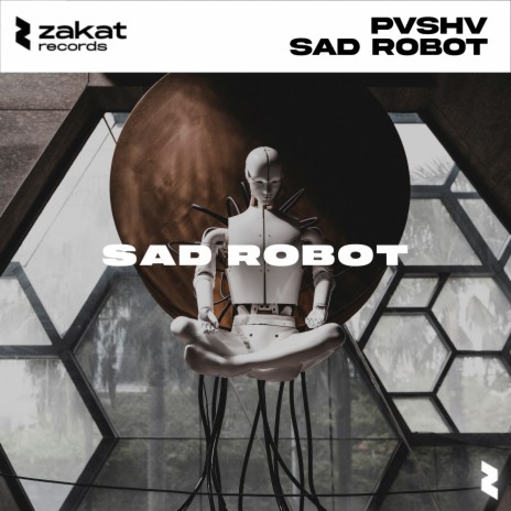 Sad Robot | Boomplay Music