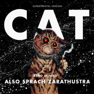 Also sprach Zarathustra (Experimental Cat Version)