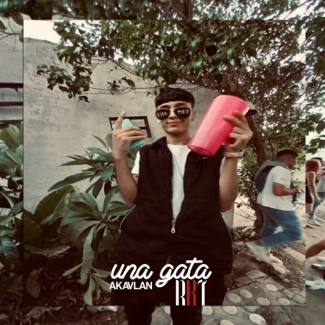 Una Gata Rkt | Boomplay Music