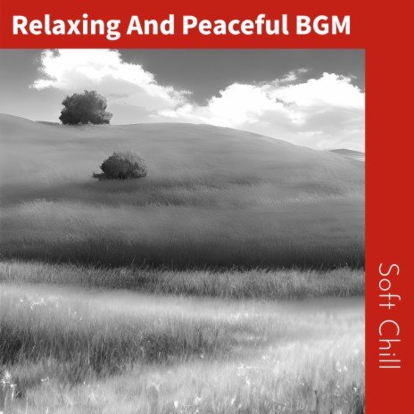 Music for the Quiet Times | Boomplay Music