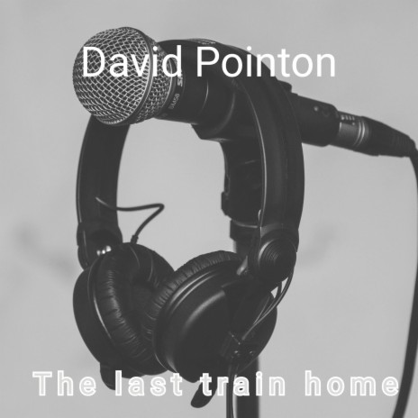 The Last Train Home | Boomplay Music