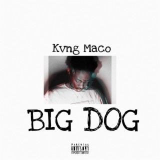 Big Dog