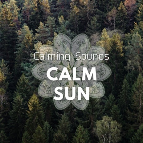 A Most Calming Effect | Boomplay Music
