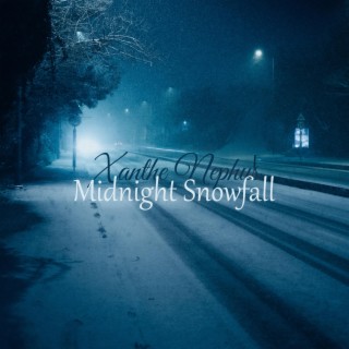 Midnight Snowfall