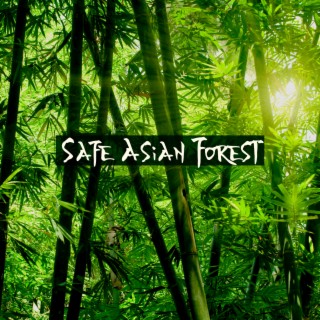 Safe Asian Forest