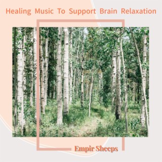 Healing Music To Support Brain Relaxation