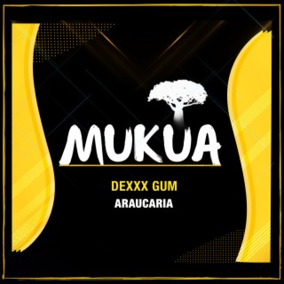 Dexxx Gum 
