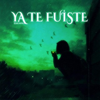 Ya Te Fuiste lyrics | Boomplay Music