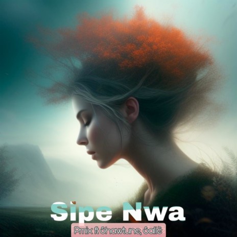 Sipe Nwa ft. Shawtune & Sallè | Boomplay Music