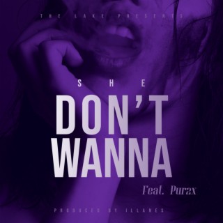 She Don't Wanna (Radio Edit) ft. Pur2x lyrics | Boomplay Music