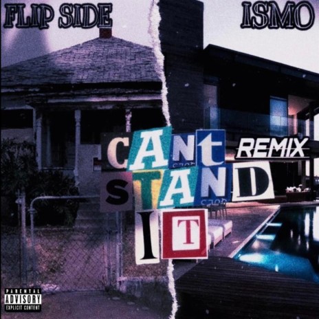 CAN'T STAND IT (Remix) ft. Ismo | Boomplay Music