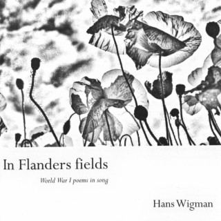 In Flanders fields