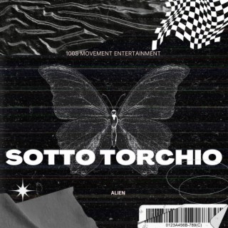 Sotto Torchio