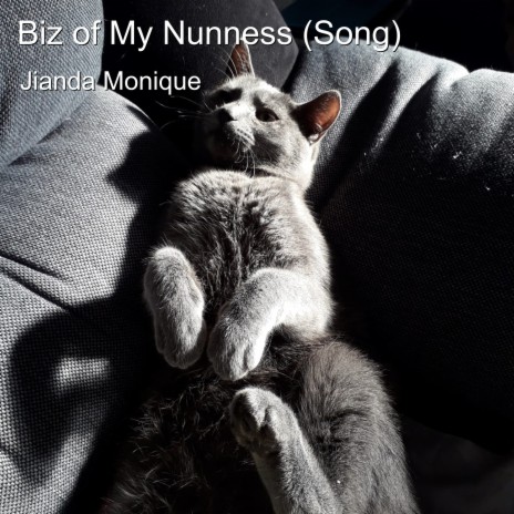 Biz of My Nunness (Song) | Boomplay Music