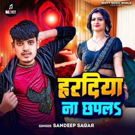 Hardiya Na Chhapla | Boomplay Music