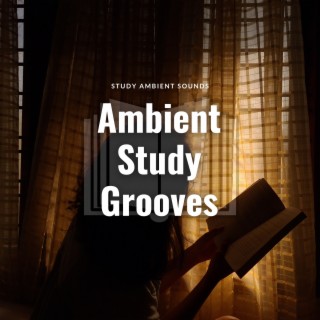 Ambient Study Grooves: Calm and Focused