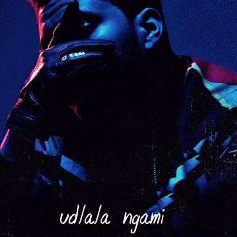 Udlala Ngami | Boomplay Music