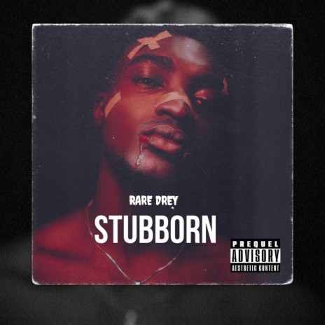 Stubborn | Boomplay Music