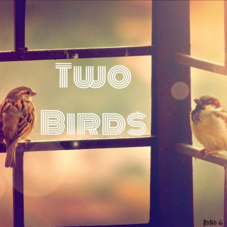 Two Birds | Boomplay Music