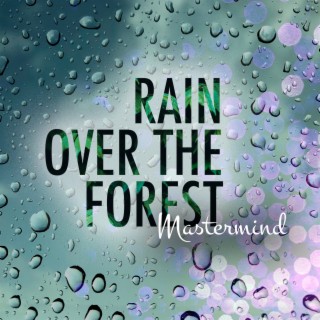 Rain Over the Forest