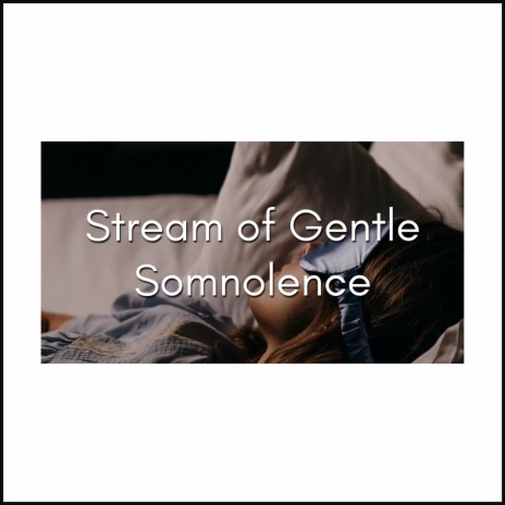 Stream of Gentle Somnolence (Rain) ft. Relaxation & Meditation Music therapy