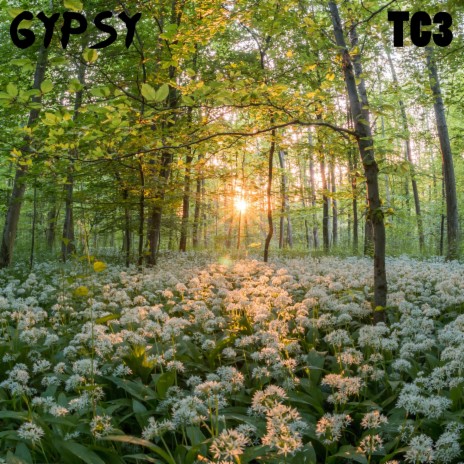 Gypsy | Boomplay Music
