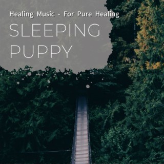 Healing Music - For Pure Healing