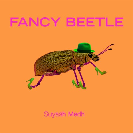 Fancy Beetle | Boomplay Music