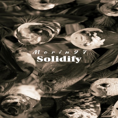 Solidify | Boomplay Music