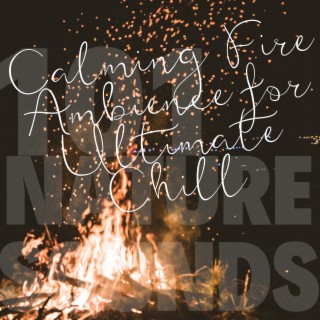 Calming Fire Ambience for Ultimate Chill