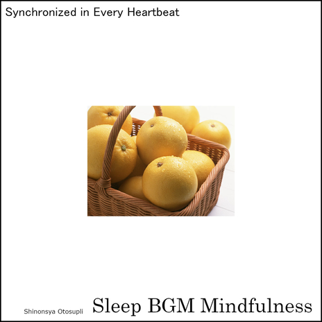 Sleepy Melodies for Mental Wellness