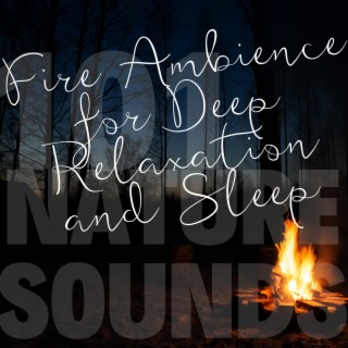 Fire Ambience for Deep Relaxation and Sleep