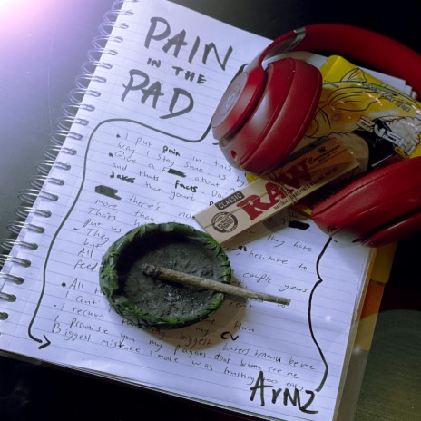 Pain in the Pad | Boomplay Music