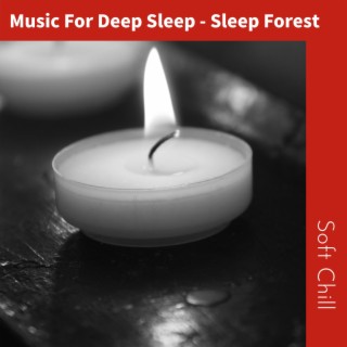 Music For Deep Sleep - Sleep Forest