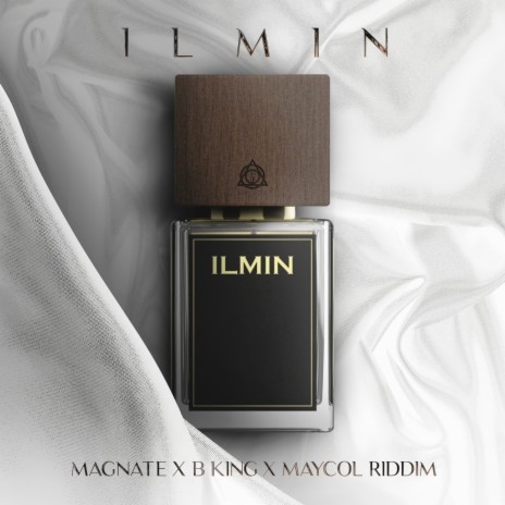 ILMIN ft. B King & Maycol Riddim | Boomplay Music