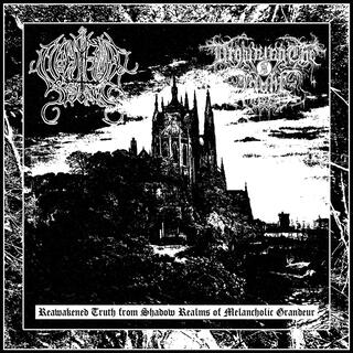 Reawakened Truth from Shadow Realms of Melancholic Grandeur split with Nocturnal Deviancy