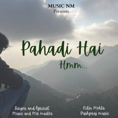 Pahadi Hai Hum | Boomplay Music