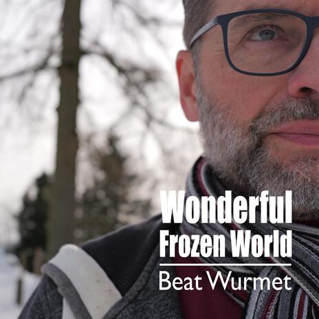 Wonderful Frozen World | Boomplay Music