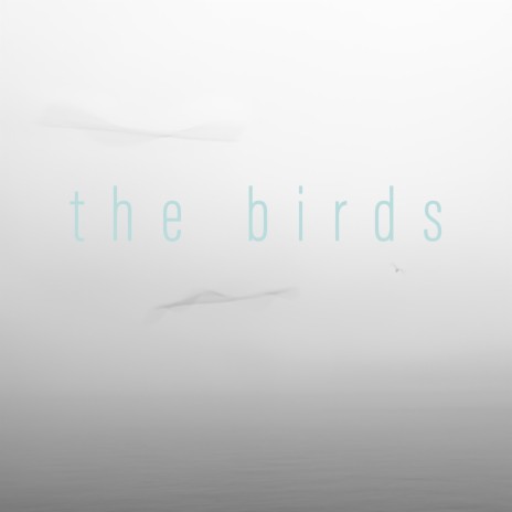 the birds | Boomplay Music