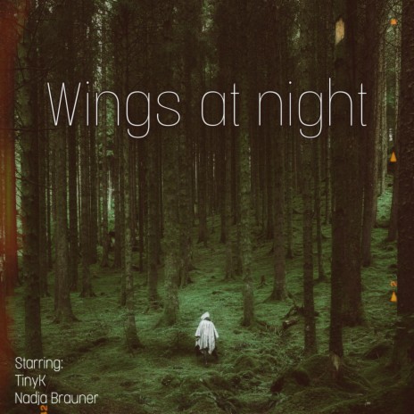 Wings at night | Boomplay Music