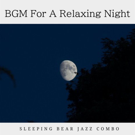 The Night of the Deep Sleep | Boomplay Music