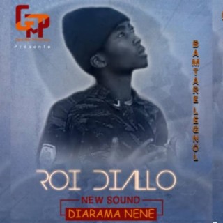 Roi Diallo