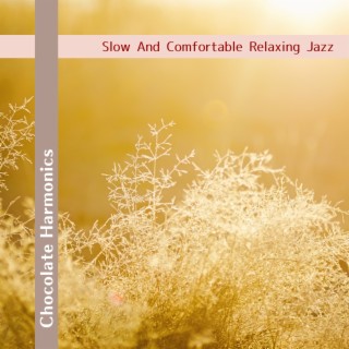 Slow and Comfortable Relaxing Jazz