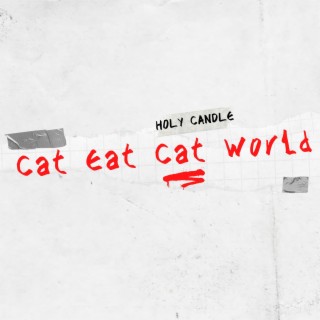 Cat Eat Cat World